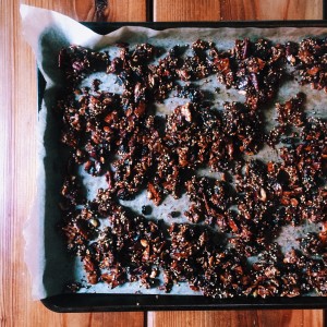 Gluten Free Chewy Millet & Molasses Granola