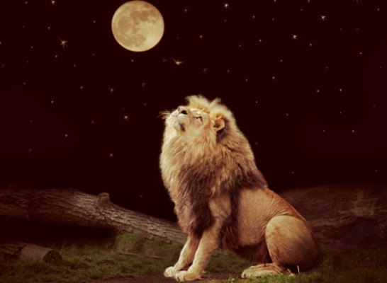 Full Moon & Eclipse in Leo (02/10/17) — Make Manifest Your Magic and Mystery!