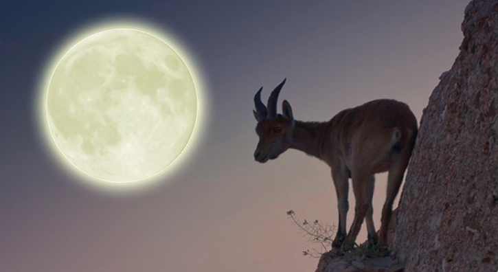 Capricorn Full Moon (7/19/16) - Manifesting Real Meaning In Our Life 
