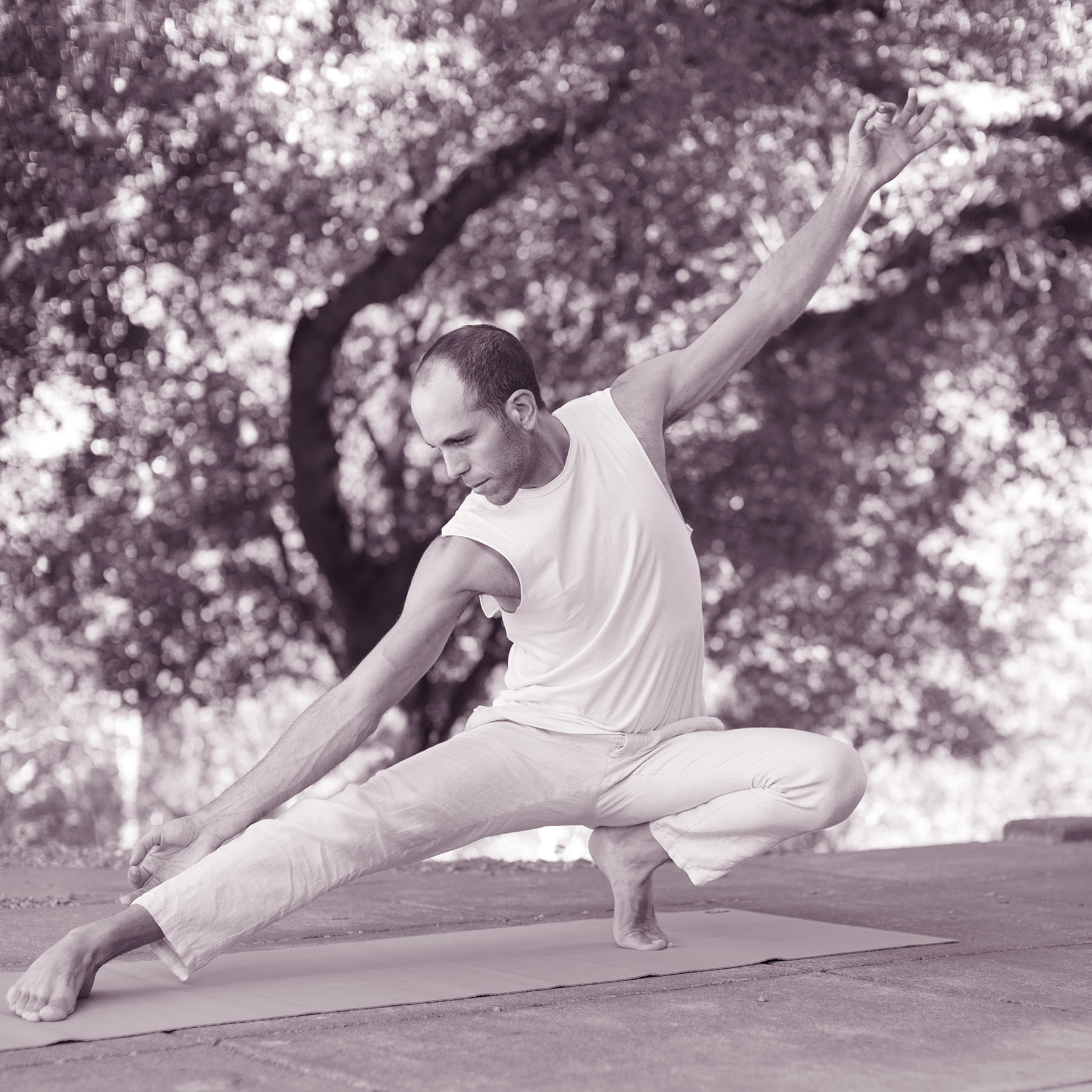 Yoga Education: Therapeutic Alignment Program with Shy Sayar
