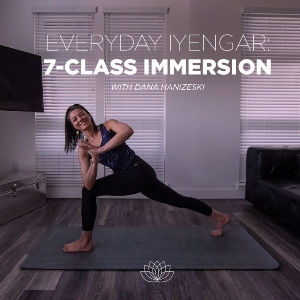 Everyday Iyengar: 7-Class Immersion with Dana Hanizeski