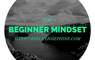 The Beginner Mindset