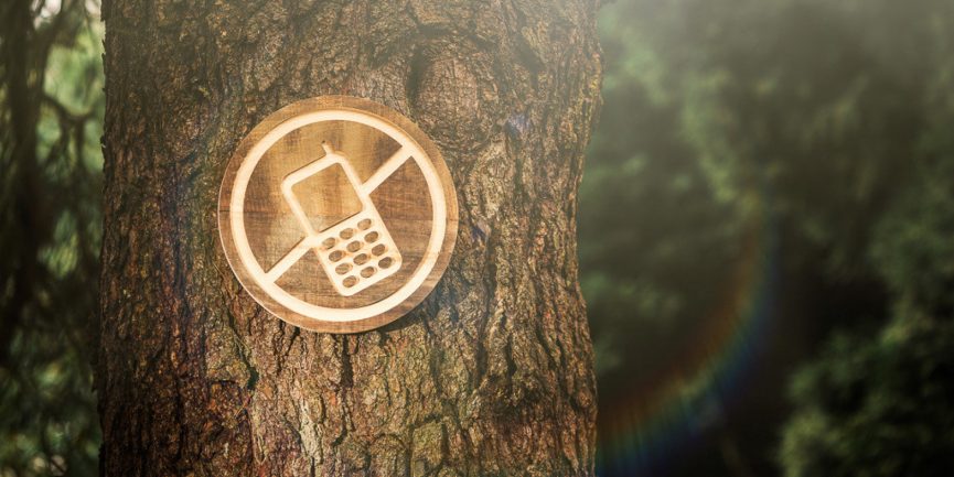 5 Reasons Why It's Time For a Digital Detox