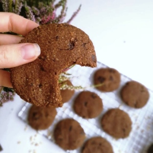 Healthy Sugar-Free Chocolate Cookies
