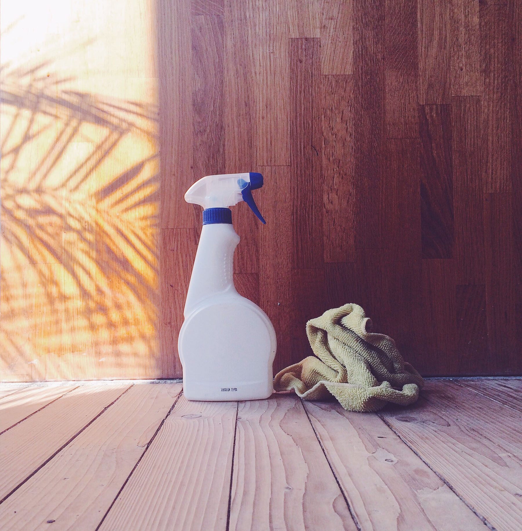 Rethinking Clean: 5 Ways to Detox your Household Cleaners