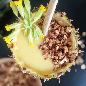 Pineapple Smoothie with Oats