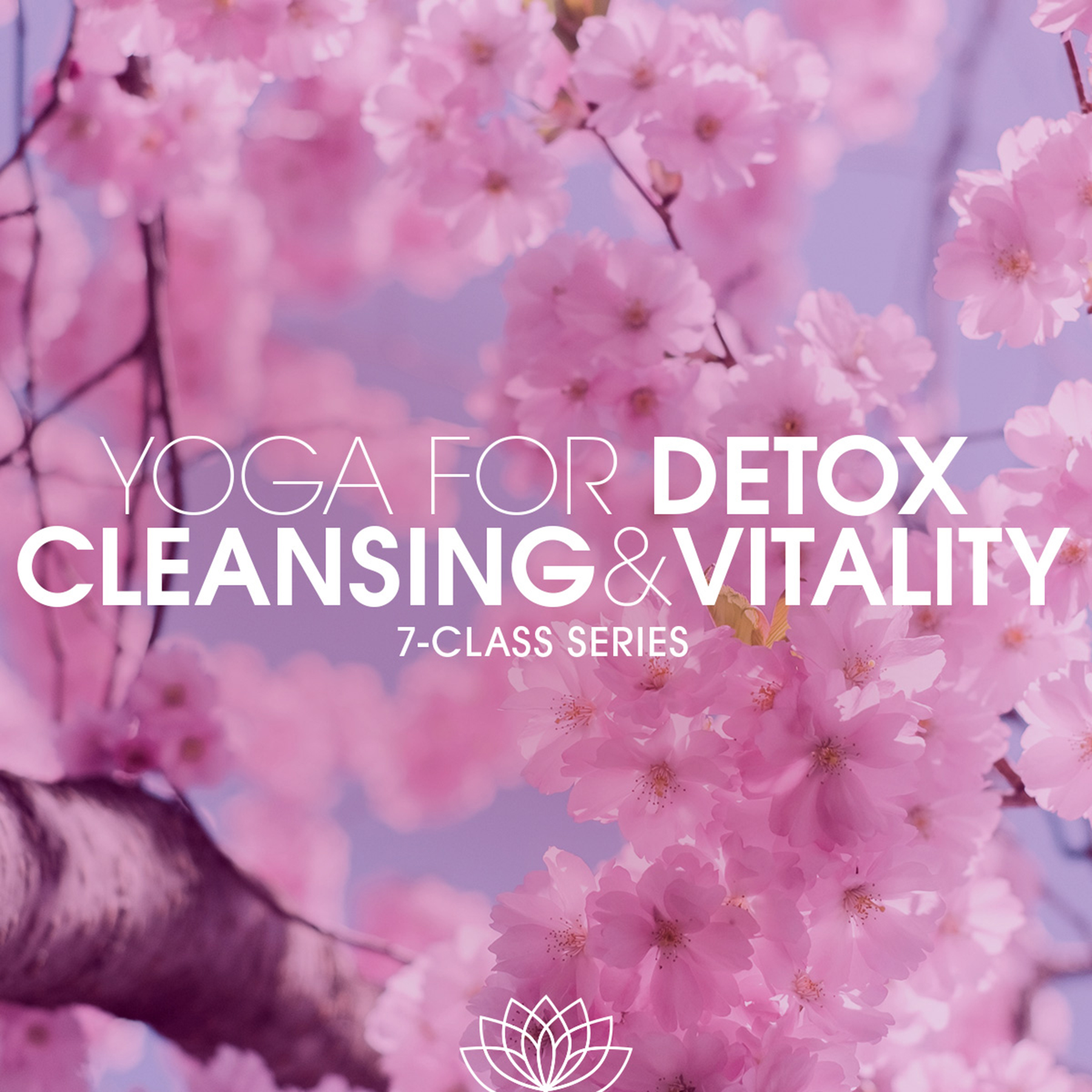Yoga for Detox, Cleansing, & Vitality