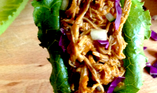 Sweet n Spicy Pulled Chicken