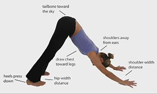 Intro to Yoga
