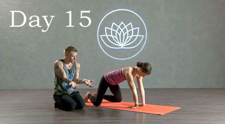 Pre-Holiday Yoga Challenge Day 15